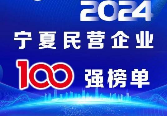 宁夏民营企业100强