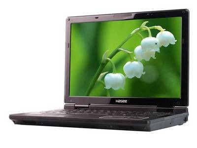 Acer Aspire 4710G(101G12)