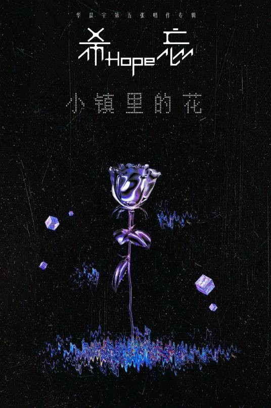 小镇里的花