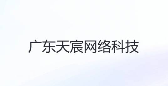 广东天宸网络科技有限公司