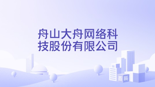 舟山大舟网络科技股份有限公司