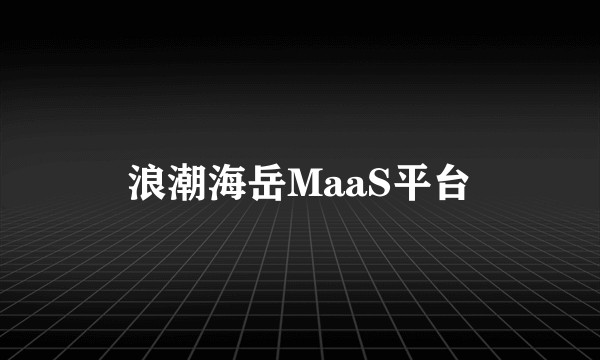 浪潮海岳MaaS平台