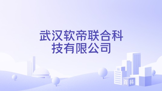 武汉软帝联合科技有限公司