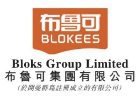 布鲁可集团有限公司