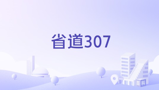 省道307