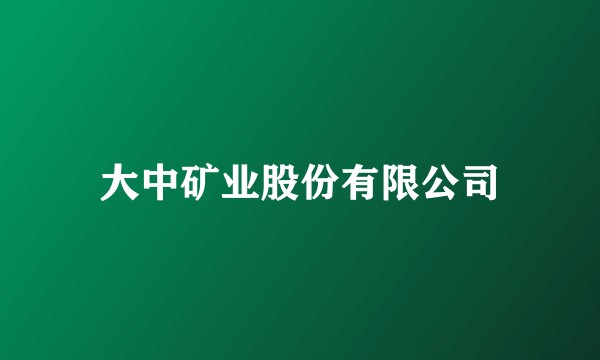 大中矿业股份有限公司
