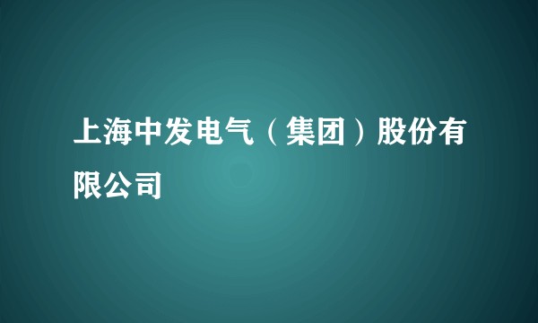 上海中发电气（集团）股份有限公司