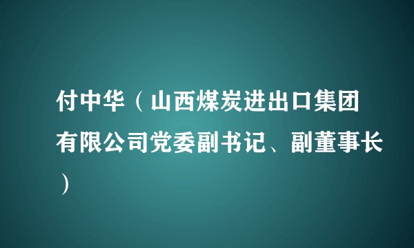 付中华（山西煤炭进出口集团有限公司党委副书记、副董事长）