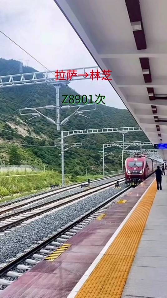 Z8901/2次列车