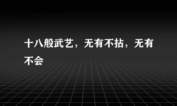 十八般武艺，无有不拈，无有不会