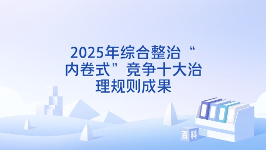 2025年综合整治“内卷式”竞争十大治理规则成果
