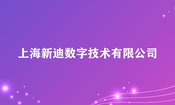 上海新迪数字技术有限公司