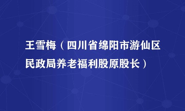 王雪梅（四川省绵阳市游仙区民政局养老福利股原股长）