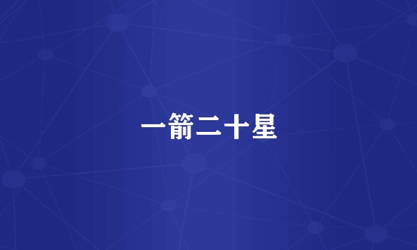 一箭二十星