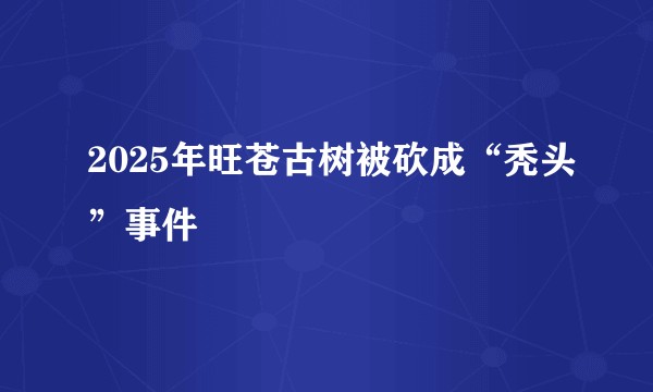 2025年旺苍古树被砍成“秃头”事件