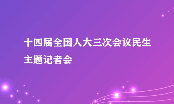 十四届全国人大三次会议民生主题记者会