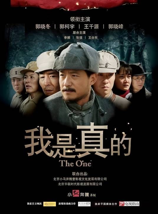 我是真的（2011年楼健执导的谍战剧）