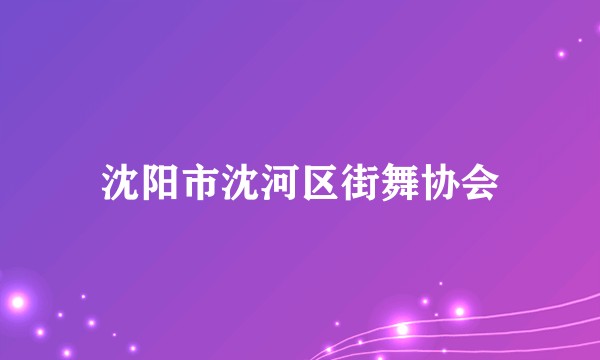 沈阳市沈河区街舞协会