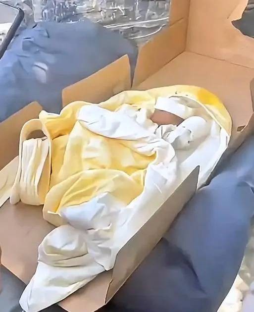 8·6恩施弃婴事件