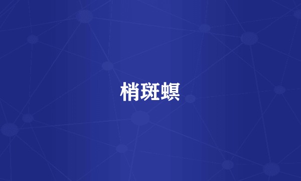 梢斑螟