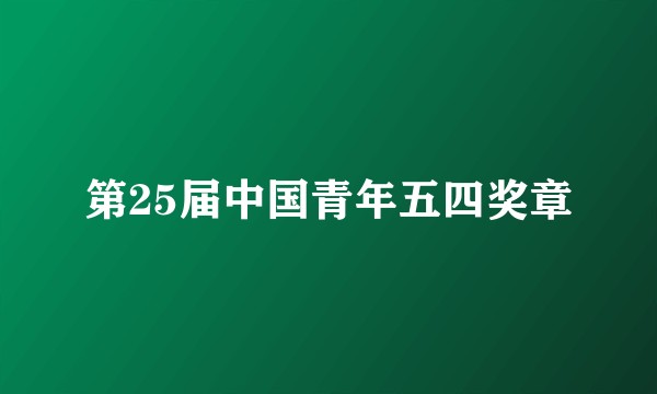 第25届中国青年五四奖章