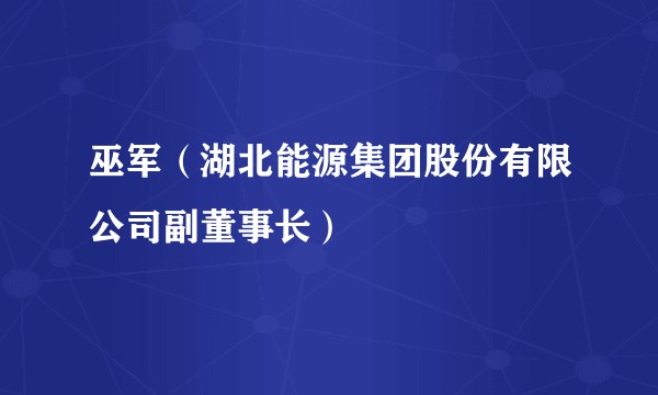 巫军（湖北能源集团股份有限公司副董事长）