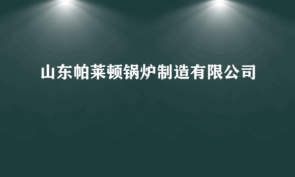 山东帕莱顿锅炉制造有限公司