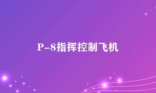 P-8指挥控制飞机