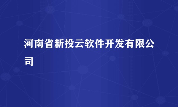 河南省新投云软件开发有限公司