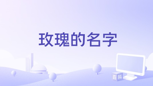 玫瑰的名字（2022年张韶涵、张碧晨演唱的歌曲）