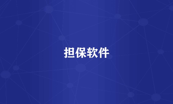担保软件