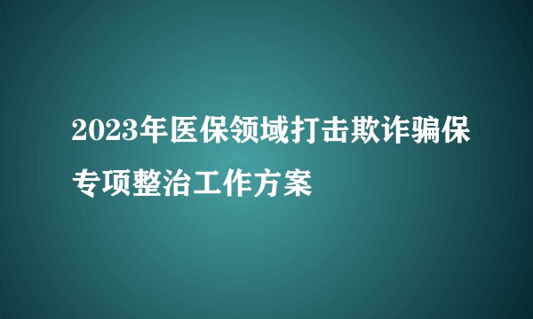 2023年医保领域打击欺诈骗保专项整治工作方案