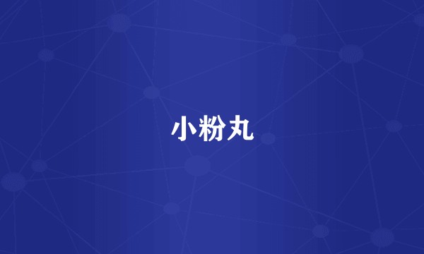 小粉丸