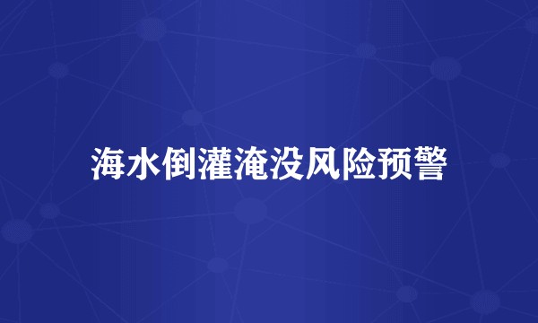 海水倒灌淹没风险预警