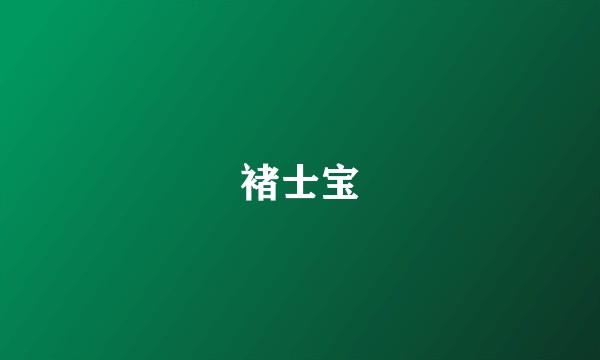 褚士宝