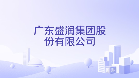 广东盛润集团股份有限公司