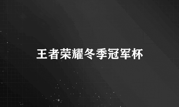 王者荣耀冬季冠军杯
