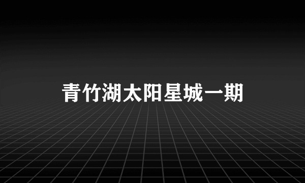 青竹湖太阳星城一期