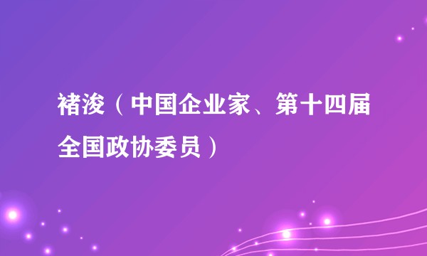 褚浚（中国企业家、第十四届全国政协委员）