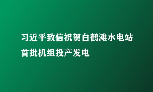习近平致信祝贺白鹤滩水电站首批机组投产发电