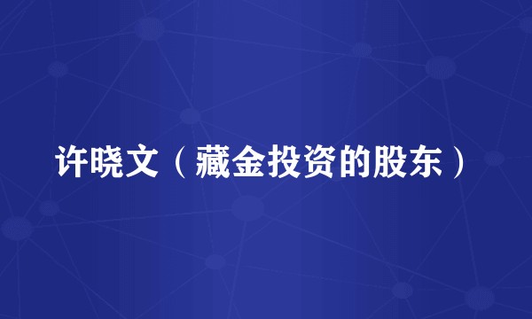 许晓文（藏金投资的股东）