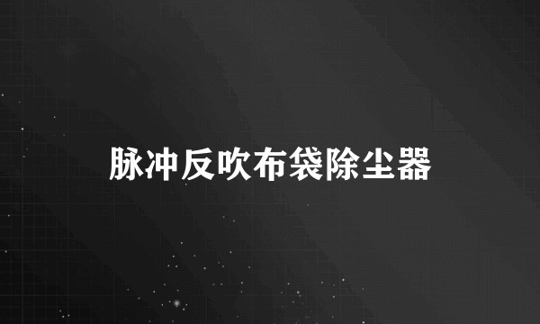 脉冲反吹布袋除尘器