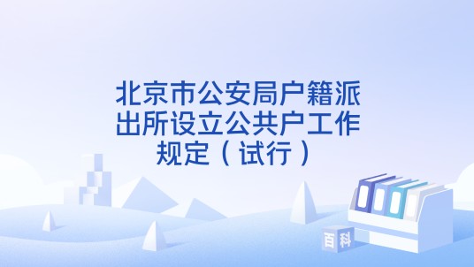 北京市公安局户籍派出所设立公共户工作规定（试行）