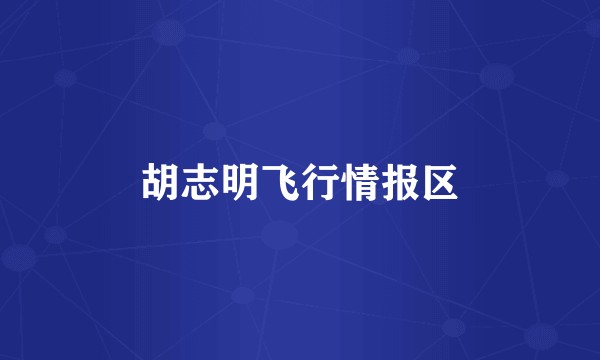 胡志明飞行情报区