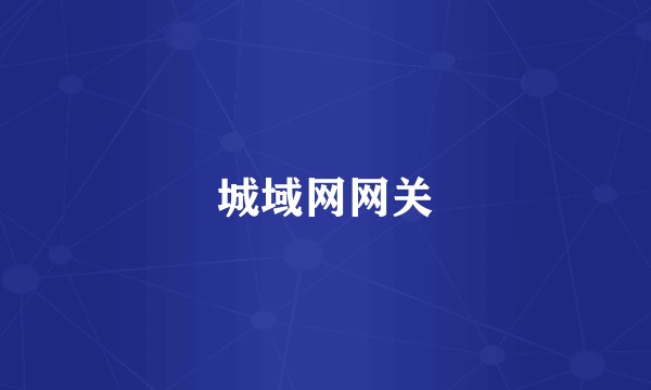 城域网网关