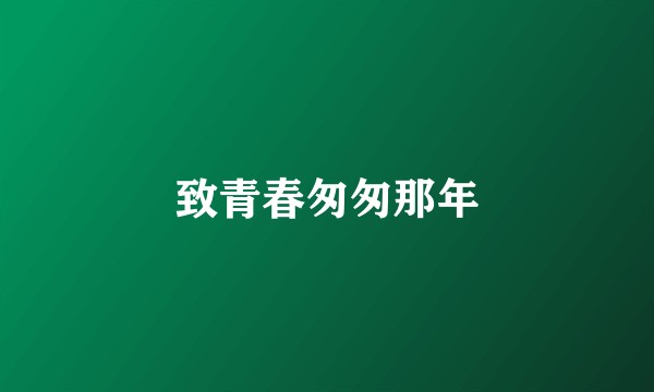 致青春匆匆那年