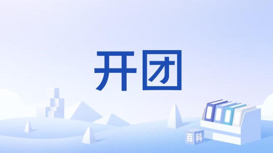 开团（粉丝群体的行为）