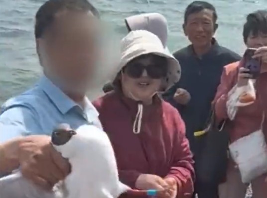 3·13玉溪游客抓海鸥轮流拍照事件