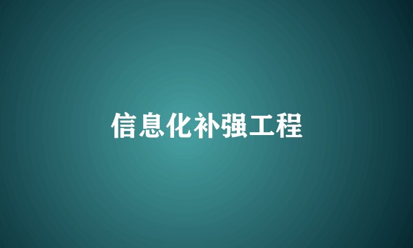 信息化补强工程