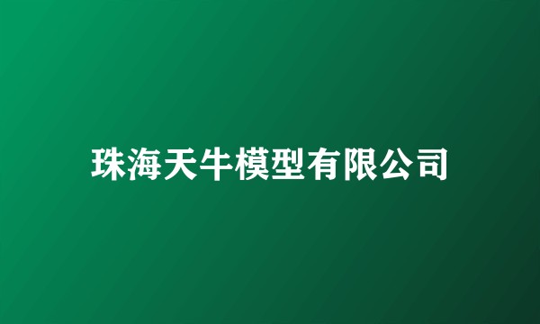 珠海天牛模型有限公司